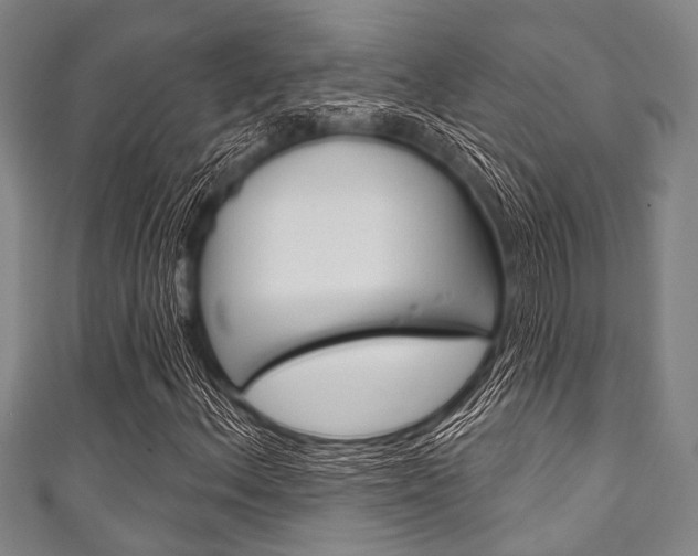 X0000111791156200907230943