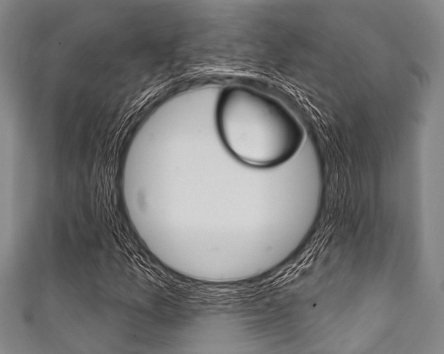X0000111791157200907230943