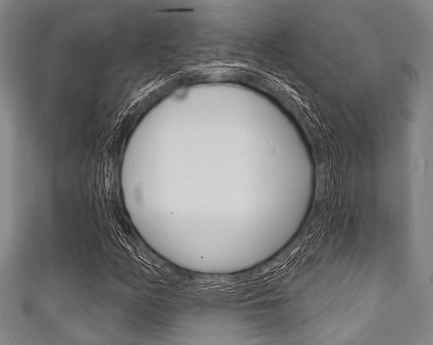 X0000111791158200907230943