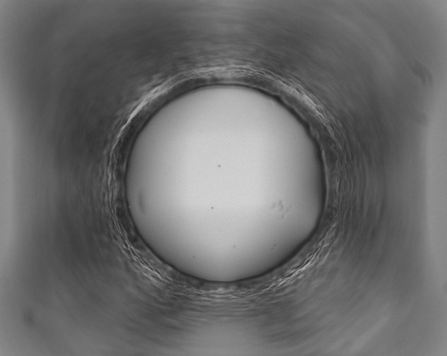 X0000111791160200907230943