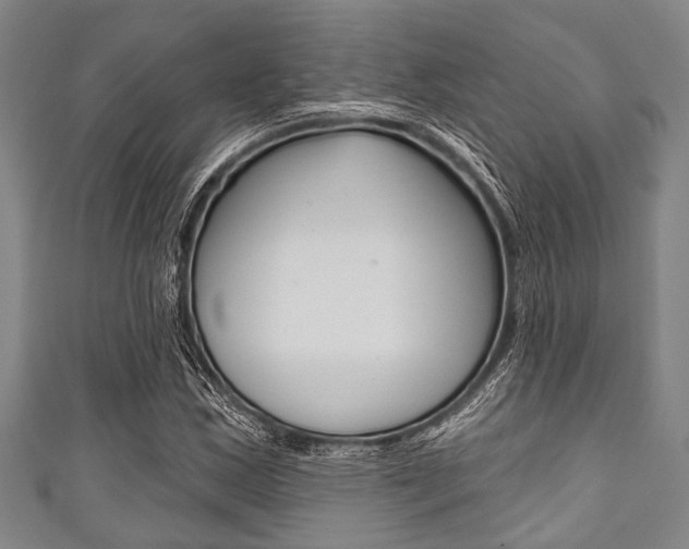 X0000111791163200907230943