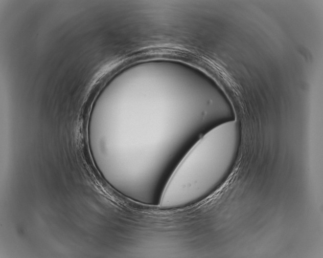 X0000111791164200907230943