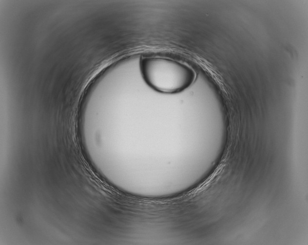X0000111791165200907230943