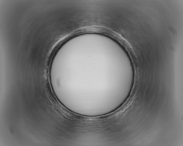 X0000111791166200907230943