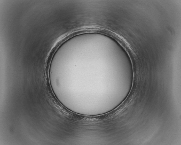 X0000111791168200907230943