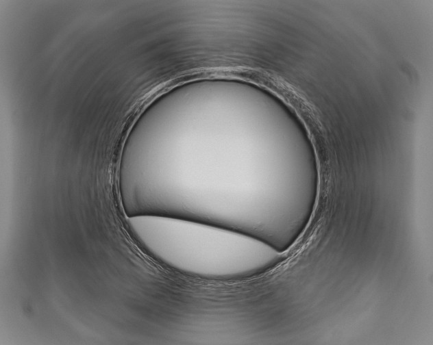 X0000111791169200907230943