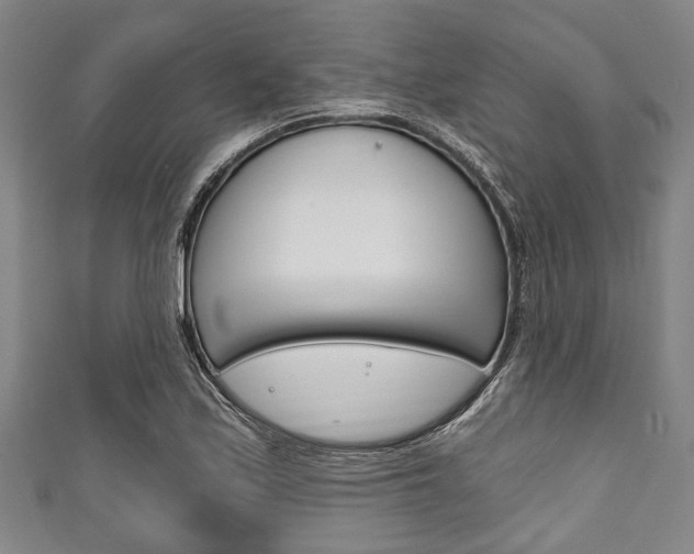 X0000111791171200907230943