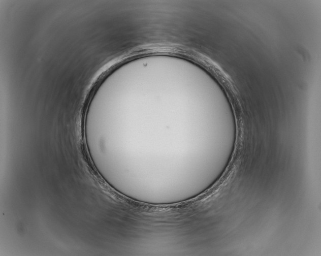 X0000111791174200907230943