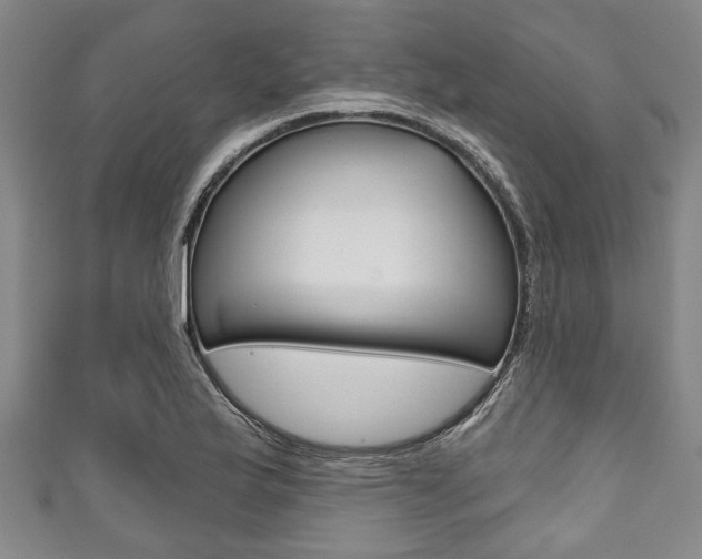 X0000111791175200907230943
