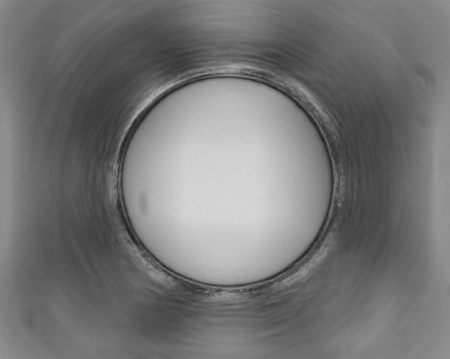 X0000111791178200907230942