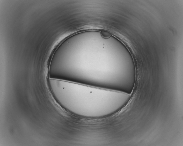 X0000111791179200907230942