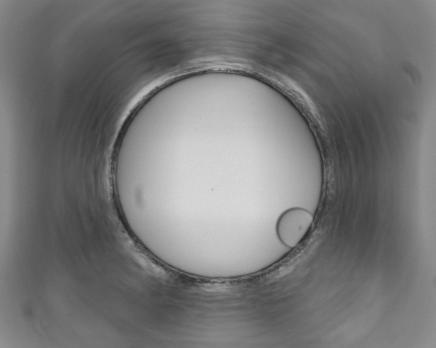 X0000111791182200907230942