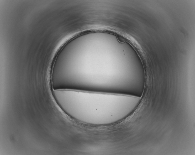 X0000111791183200907230942