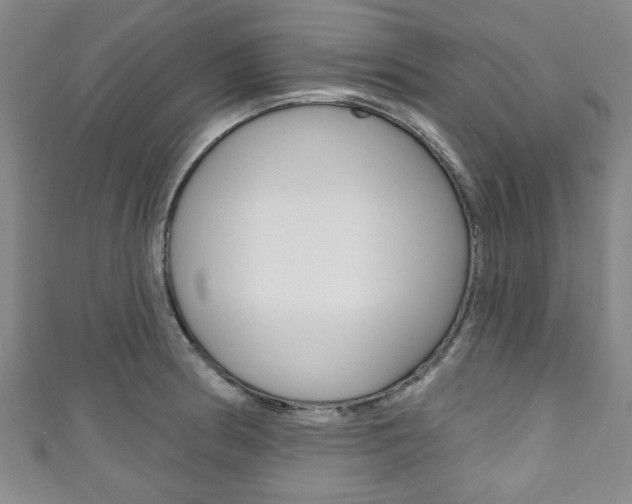X0000111791186200907230942