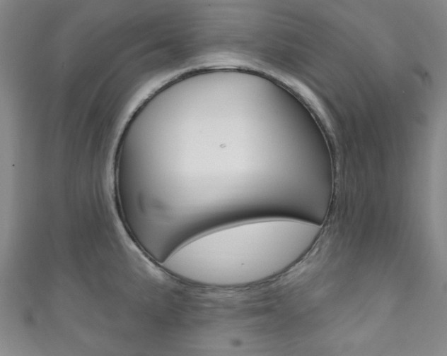 X0000111791191200907230942