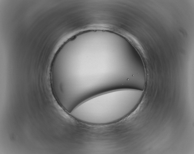 X0000111791192200907230942