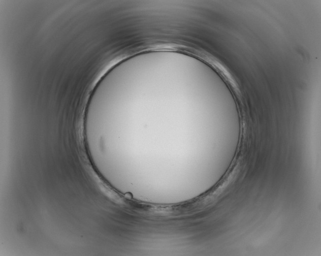 X0000111791194200907230942