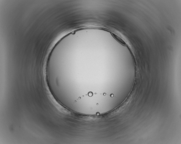 X0000111791195200907230942