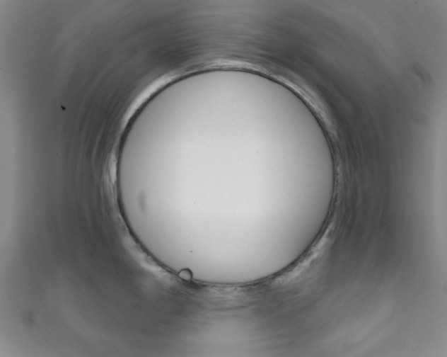 X0000111791198200907230942