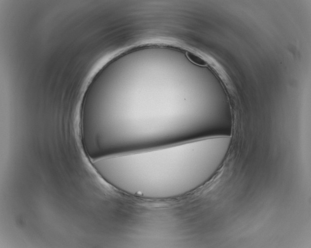 X0000111791199200907230942