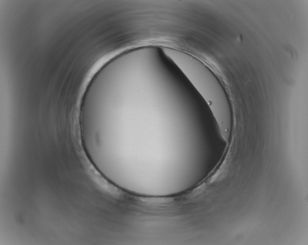 X0000111791200200907230942