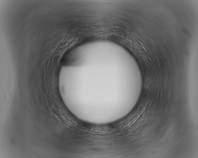 X0000111791201200907230942