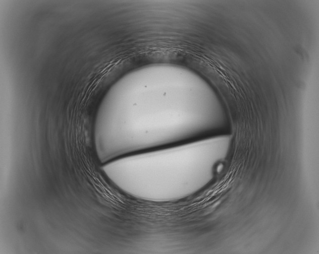 X0000111791202200907230942