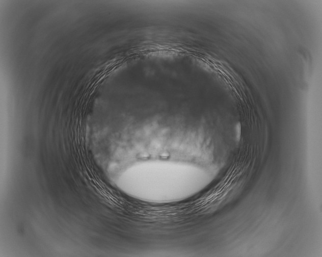 X0000111791203200907230942