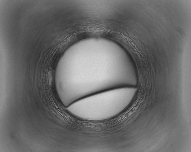 X0000111791204200907230942