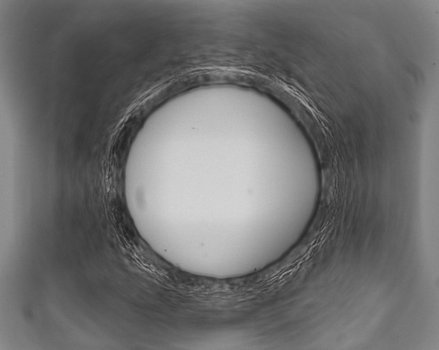 X0000111791207200907230942