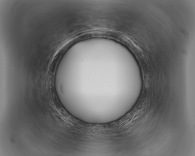 X0000111791208200907230942