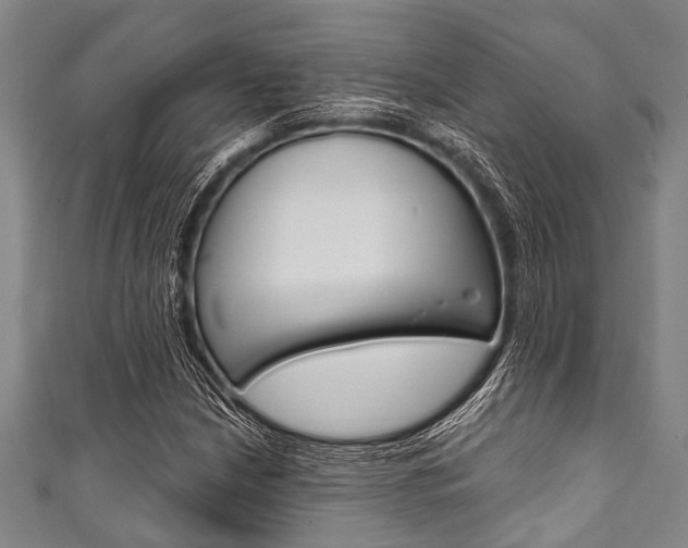 X0000111791210200907230942