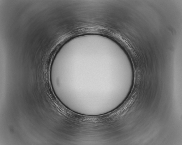 X0000111791211200907230942