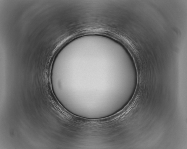 X0000111791212200907230942