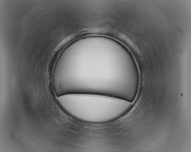 X0000111791213200907230942