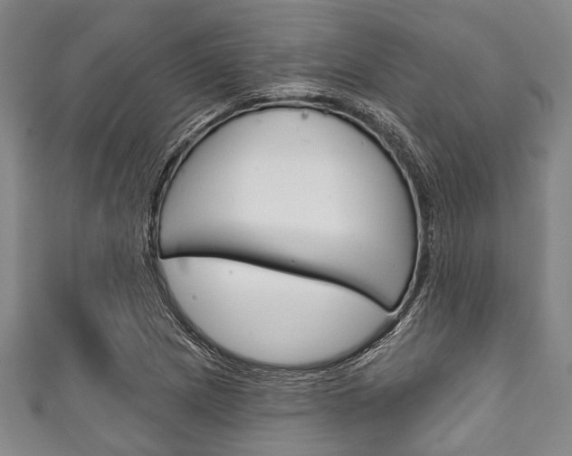 X0000111791217200907230942