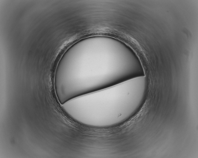 X0000111791218200907230942