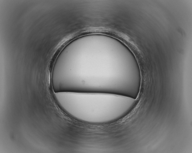 X0000111791221200907230942