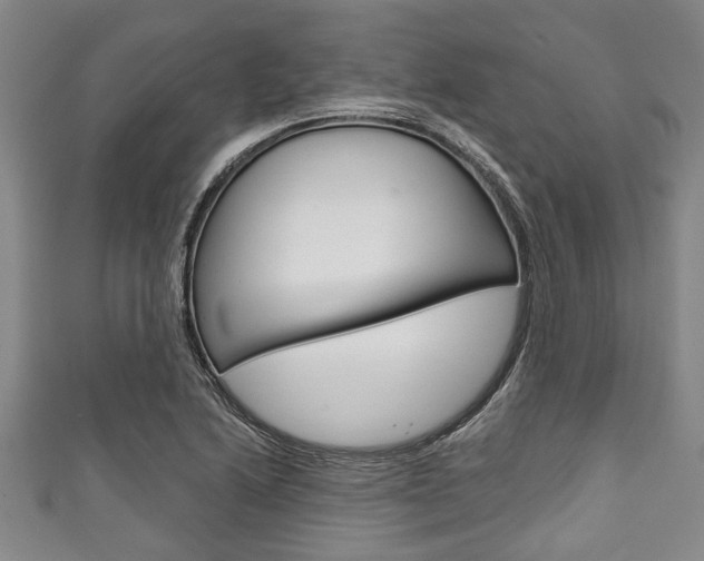 X0000111791222200907230942