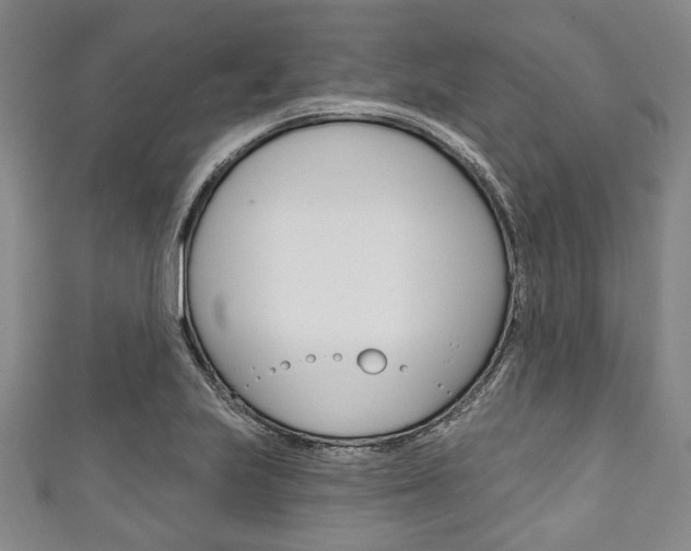 X0000111791223200907230942