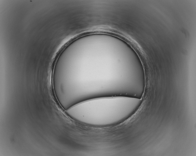 X0000111791224200907230942