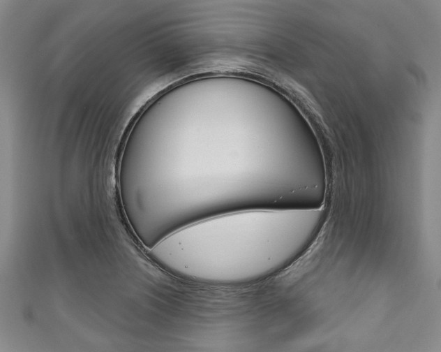 X0000111791226200907230942