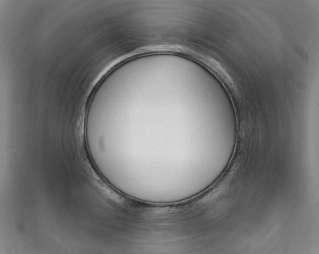 X0000111791228200907230942