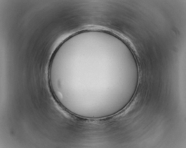 X0000111791231200907230942