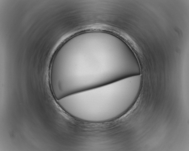 X0000111791232200907230942