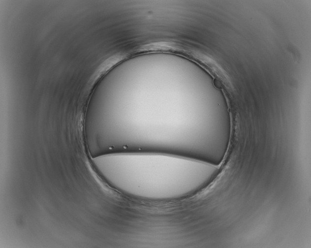 X0000111791233200907230942