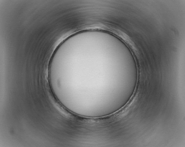 X0000111791234200907230942