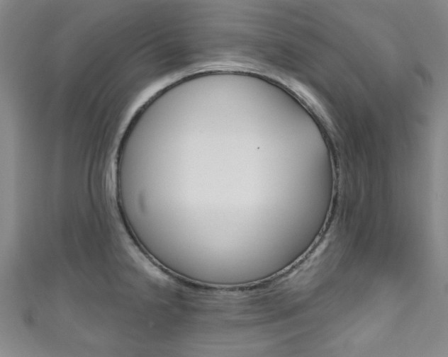 X0000111791238200907230942