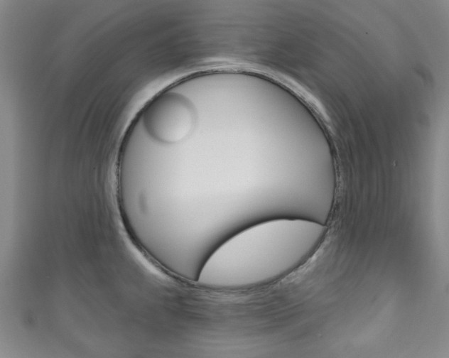 X0000111791239200907230942
