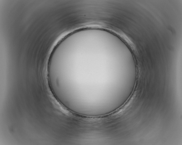 X0000111791240200907230942